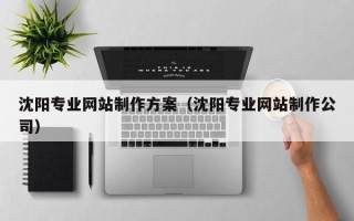 郴州沈阳专业网站制作方案（沈阳专业网站制作公司）